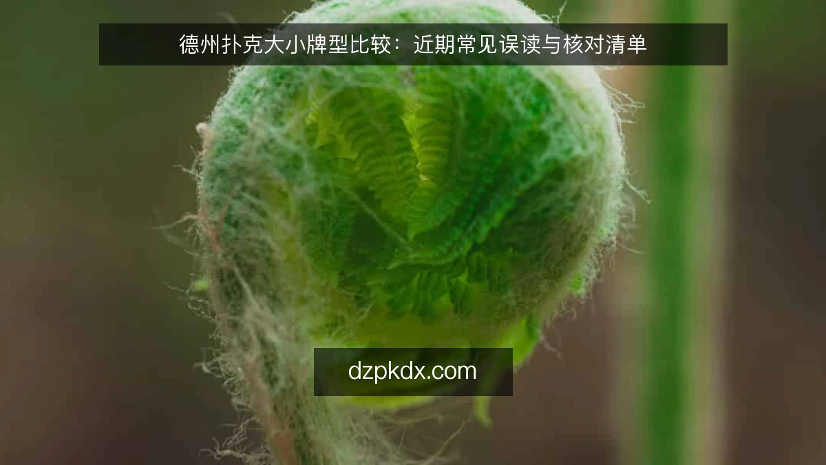 德州扑克大小牌型比较:近期常见误读与核对清单