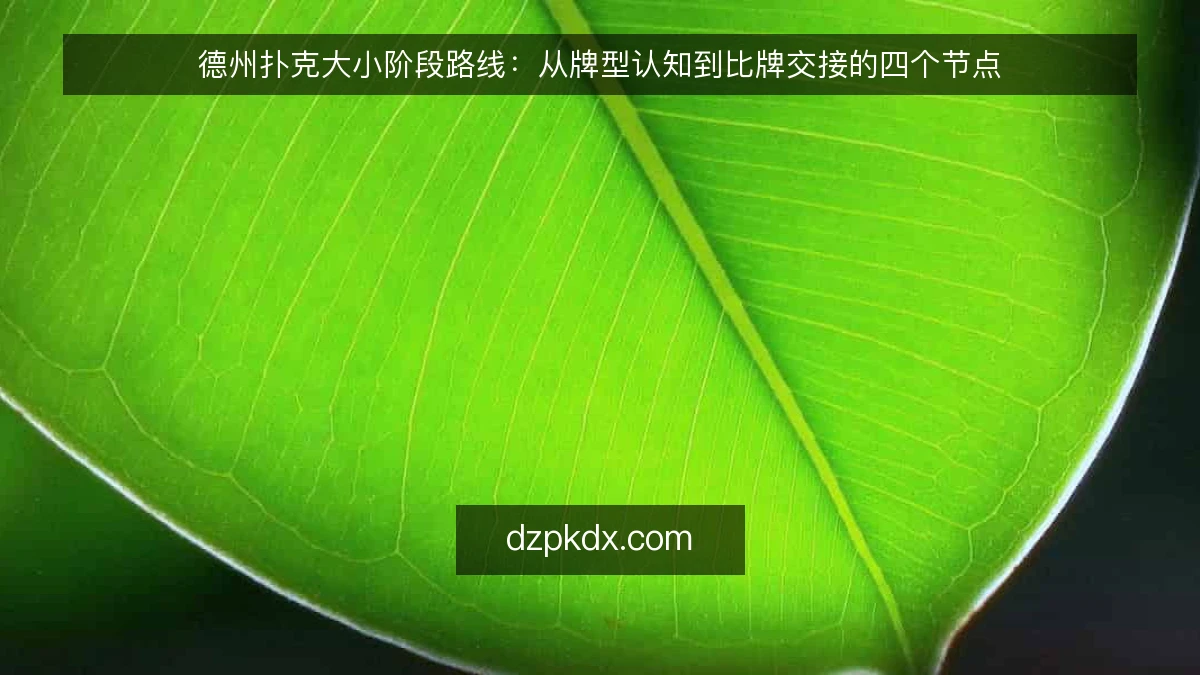 德州扑克大小阶段路线:从牌型认知到比牌交接的四个节点