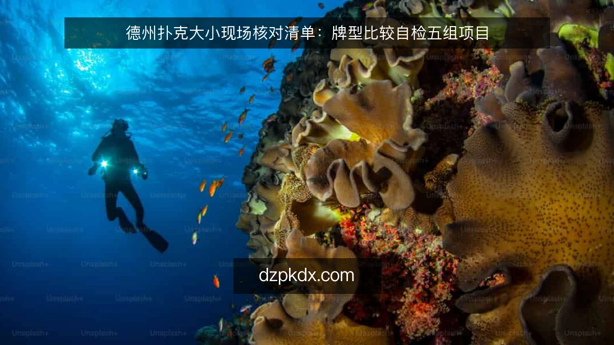 德州扑克大小现场核对清单：牌型比较自检五组项目