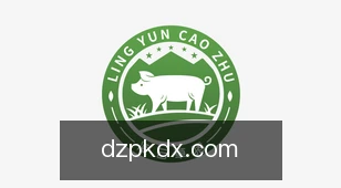 德州扑克大小